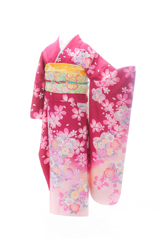 赤2 / 山田写真館