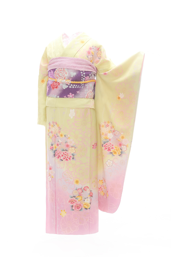 黄色1 / 山田写真館